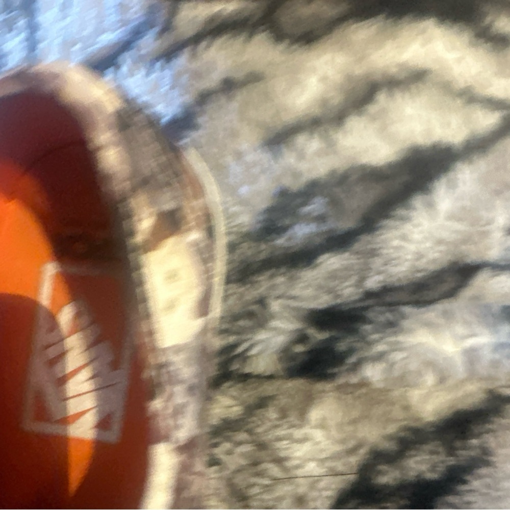 Vans Cat Print Sneakers with Orange Interior - Picture 7 of 16